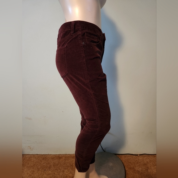 Brushed velvet style pants - Picture 4 of 5
